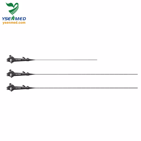 Double 10 pouces Powered Subwoofer Heavy Bass Party Speaker PA Équipement de barre de karaoké avec 100W